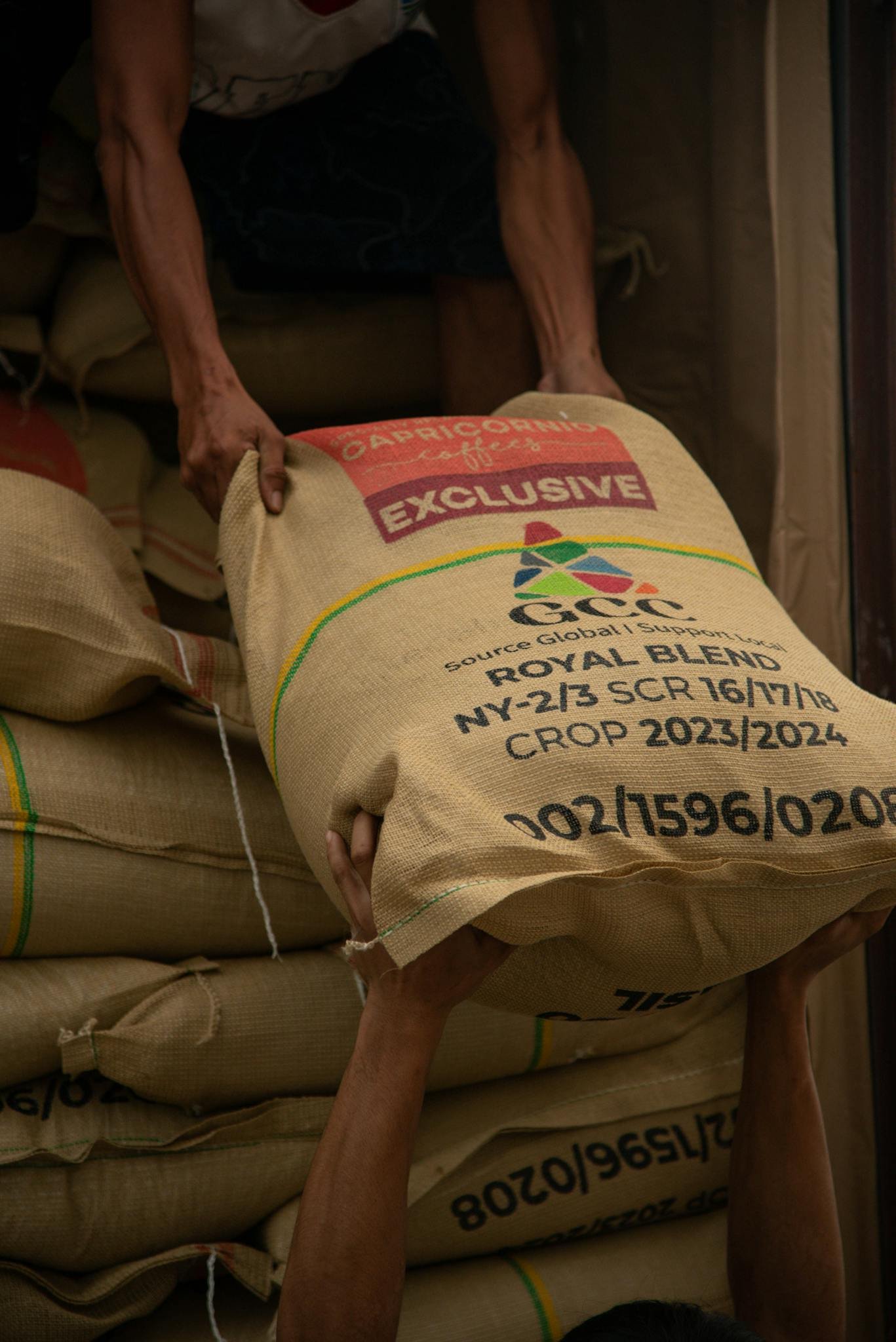 Hands loading sacks of coffee beans labeled Royal Blend for storage and transport.
